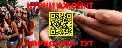 стаф Новозыбков