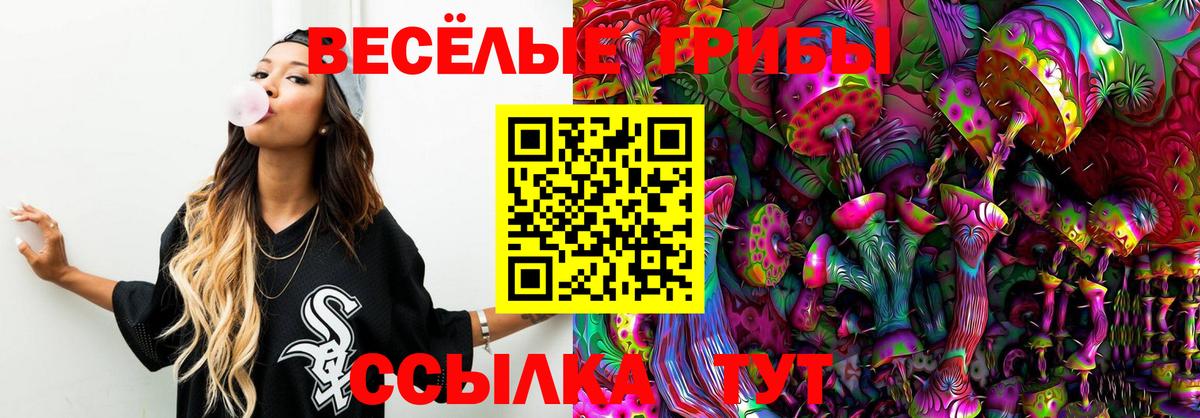 Татарск  Псилоцибиновые грибы GOLDEN TEACHER  хочу наркоту  Вход с VPN 